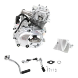 Lifan 50cc kompletter Motorblock 50cc Mash Cobra 