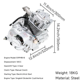 Lifan 50cc kompletter Motorblock 50cc Mash Cobra 