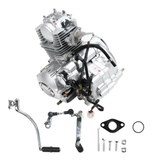 Lifan 50cc kompletter Motorblock 50cc Mash Cobra 