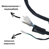 Wiring harness for Euro 2 Dax - Skyteam Zhenhua 50cc- 125cc