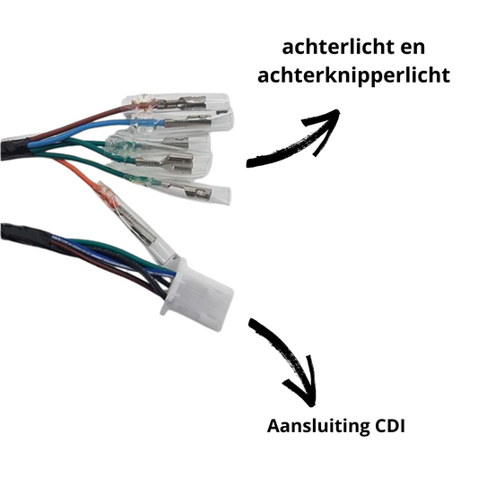 Wiring harness for Euro 2 Dax - Skyteam Zhenhua 50cc- 125cc