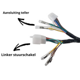 Wiring harness for Euro 2 Dax - Skyteam Zhenhua 50cc- 125cc