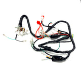 Wiring harness for Euro 2 Dax - Skyteam Zhenhua 50cc- 125cc