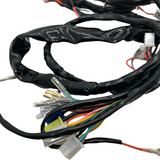 Complete wiring harness replica type for dax 12 volts