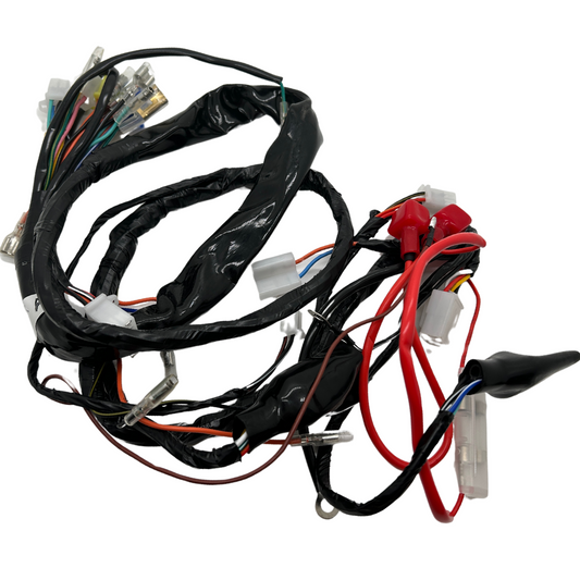 Complete wiring harness replica type for dax 12 volts