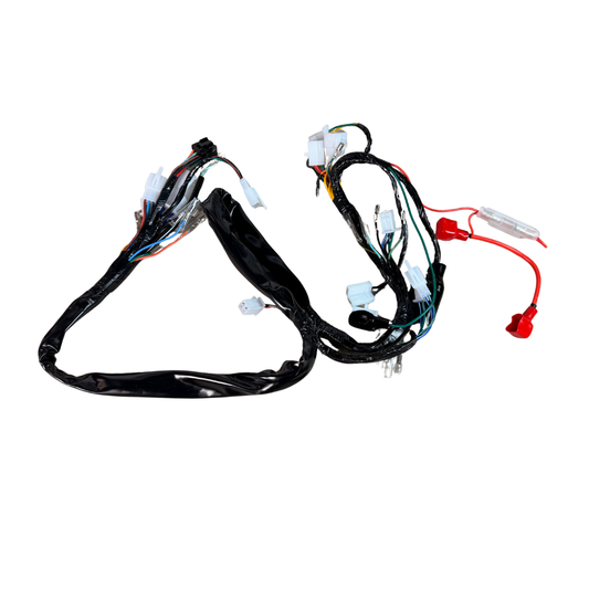 Faisceau de câbles complet pour Skyteam Dax 125cc euro 4 