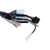 Kompletter Kabelbaum für Skyteam Dax 125cc Euro 4 