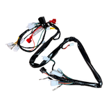 Complete wiring harness for Skyteam Dax 50cc euro 5 