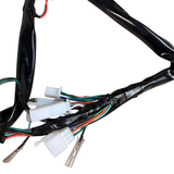 Complete wiring harness for Skyteam Dax 50cc euro 5 