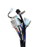 Complete wiring harness for Skyteam Dax 50cc euro 5 