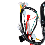 Complete wiring harness for Skyteam Dax 50cc euro 5 