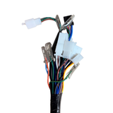 Kompletter Kabelbaum für Skyteam Dax 125cc Euro 4 