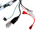 Kompletter Kabelbaum für Skyteam Dax 125cc Euro 4 