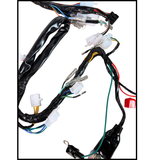 Kompletter Kabelbaum für Skyteam Dax 125cc Euro 4 