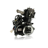 Lifan 50cc complete engine block black Mash Cobra 