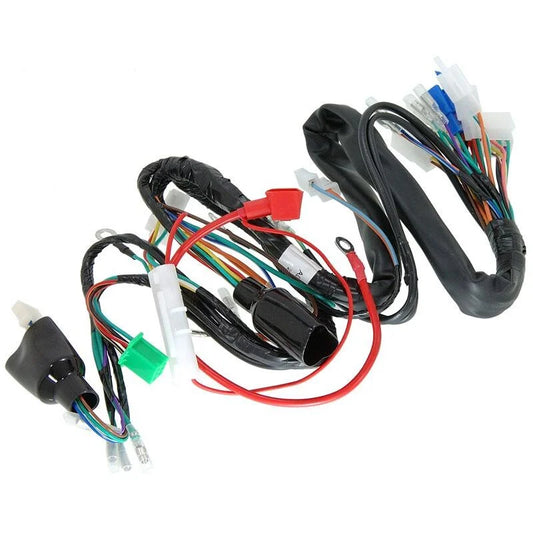 Complete wiring harness for monkey